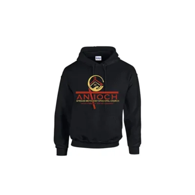 AAME Hoodie - Pullover